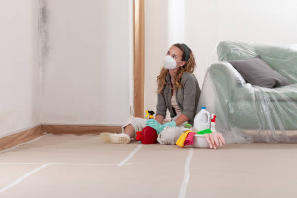 Reliable Black Mold Remediation contractor in Arlington Heights, PA by Car Mold Remediation